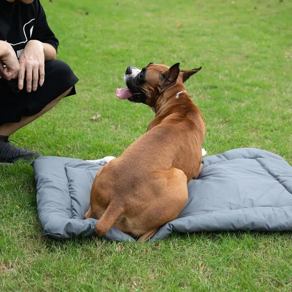 Coussin pour chien | Imperméable extérieur™️