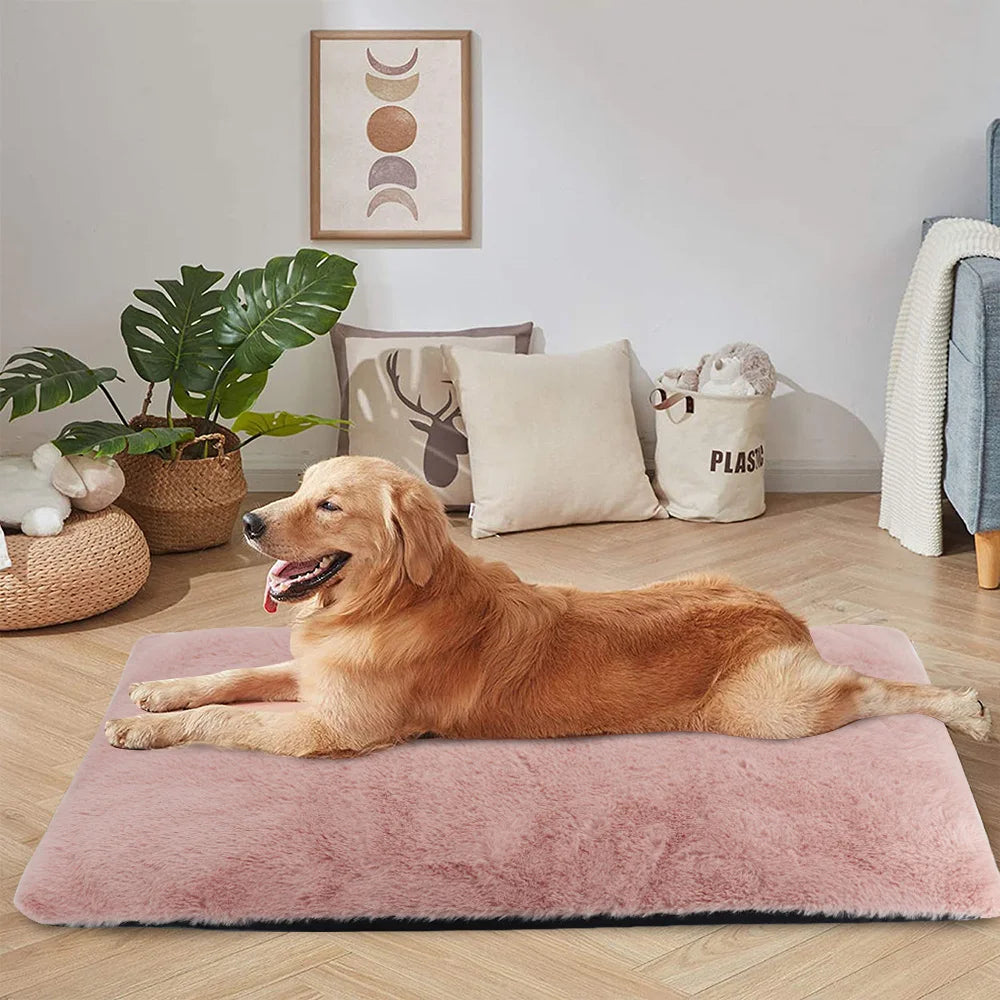 Tapis pour chien - DoggyTripâąïž