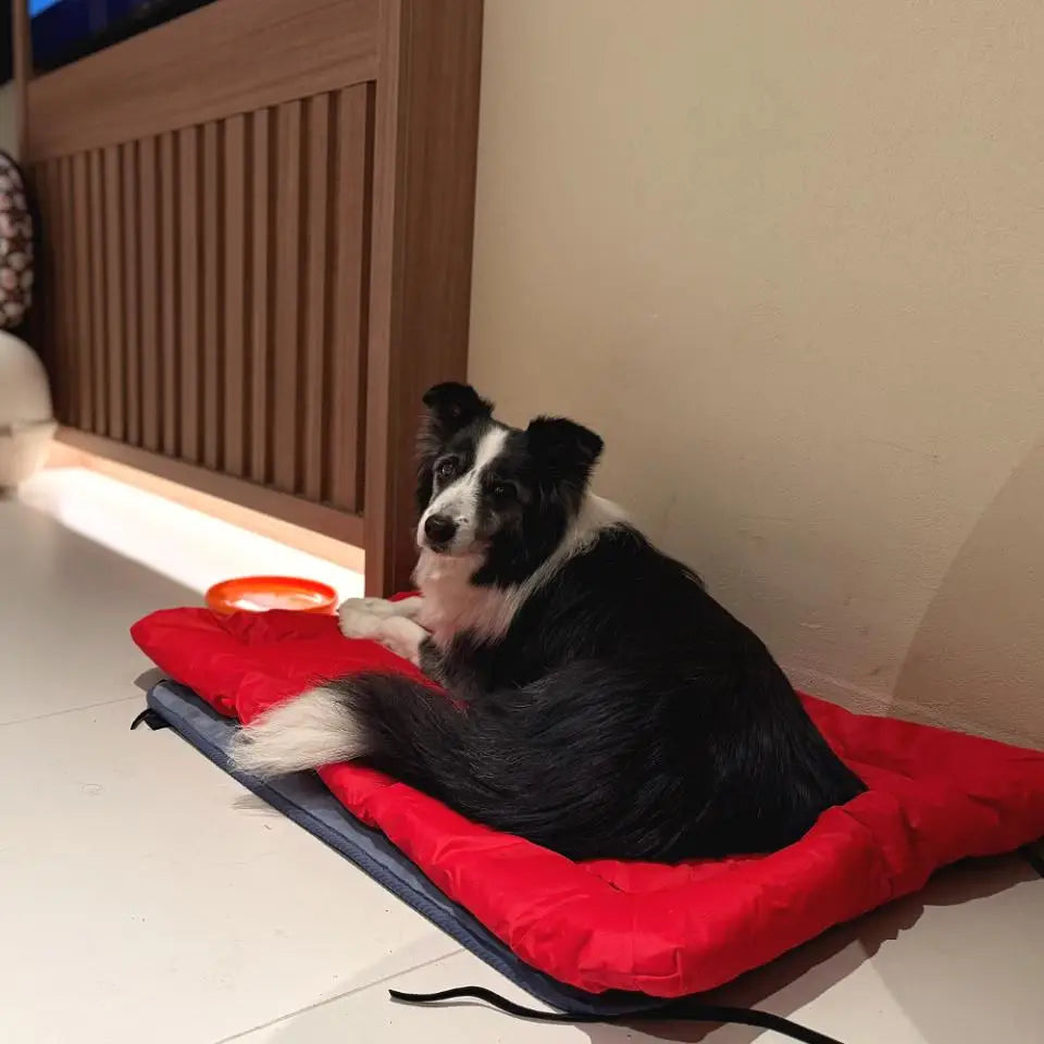 Coussin pour chien | Imperméable extérieur™️