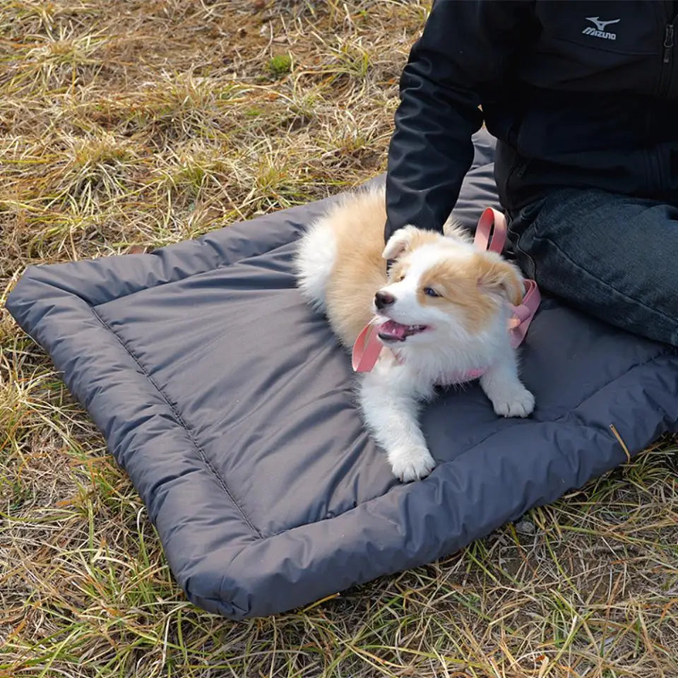 Coussin pour chien | Imperméable extérieur™️