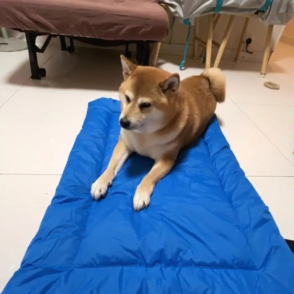 Coussin pour chien | Imperméable extérieur™️