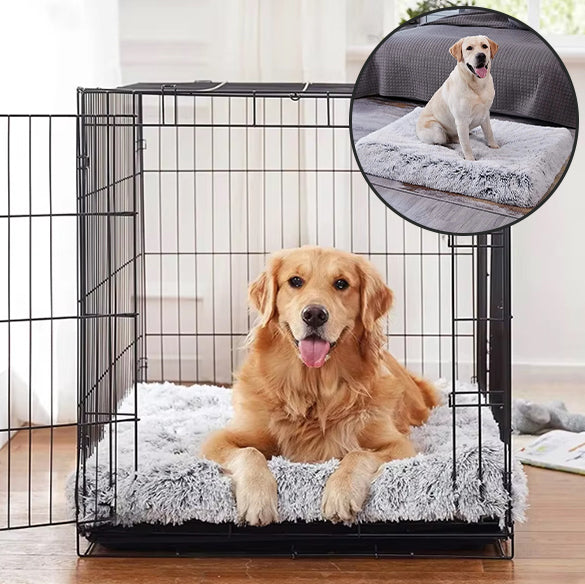 Lit-pour-pour chien