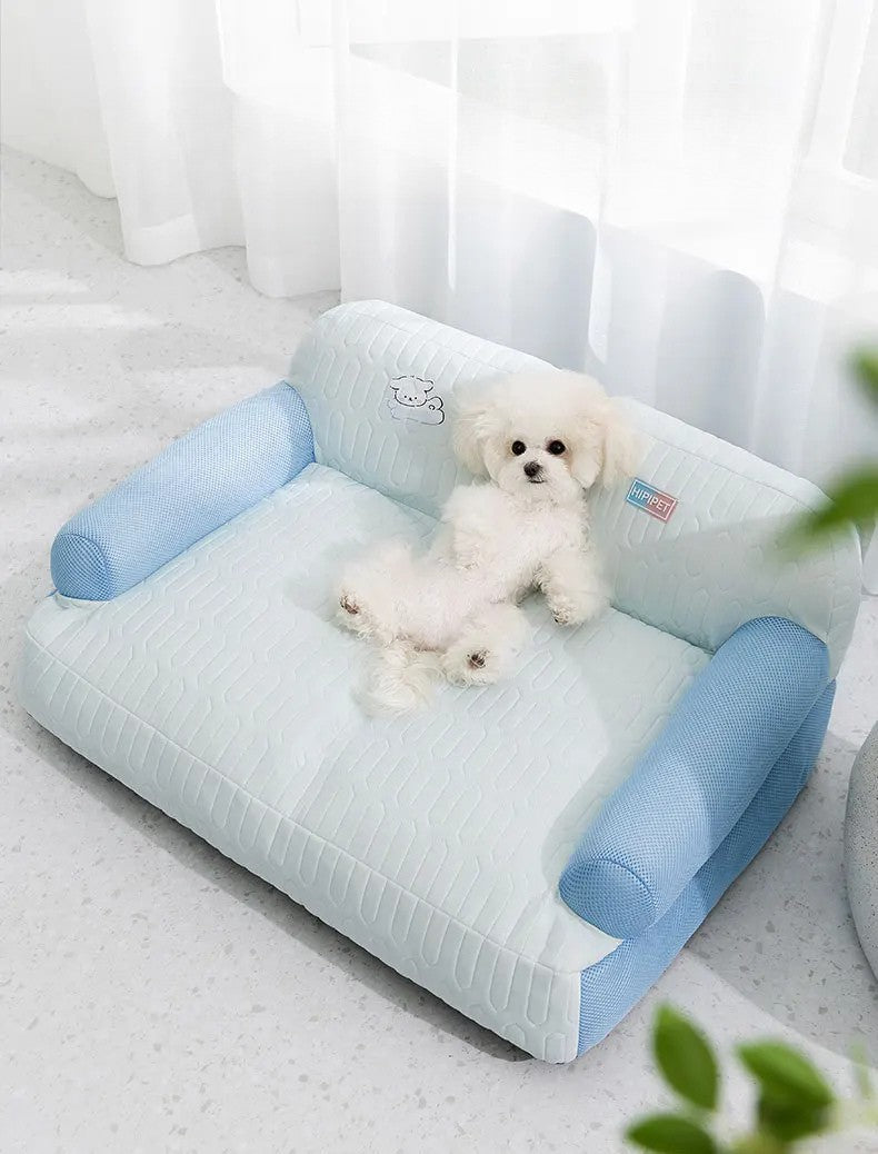 canape chien bleu rafraichissant