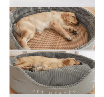 Canapé chien| DogVelvet™️ - Bonheur de chien