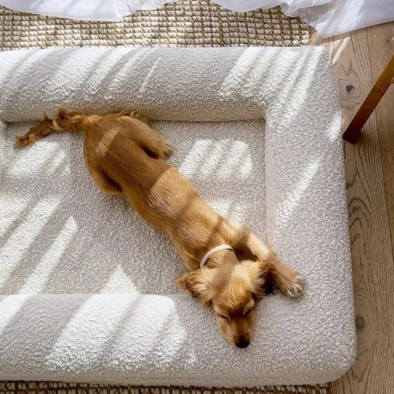 Canapé pour chien | ChenilSquare™️ - Bonheur de chien