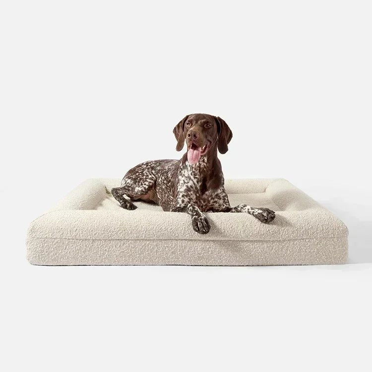 Canapé pour chien | ChenilSquare™️ - Bonheur de chien