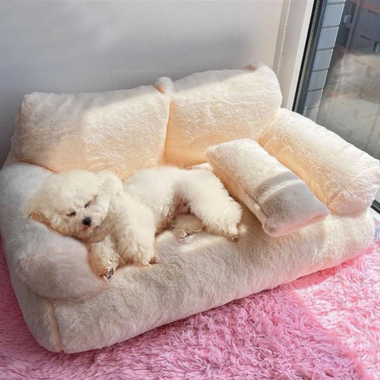 CanapĂ© pour chien - Dogplouffâąïž - Bonheur de chien
