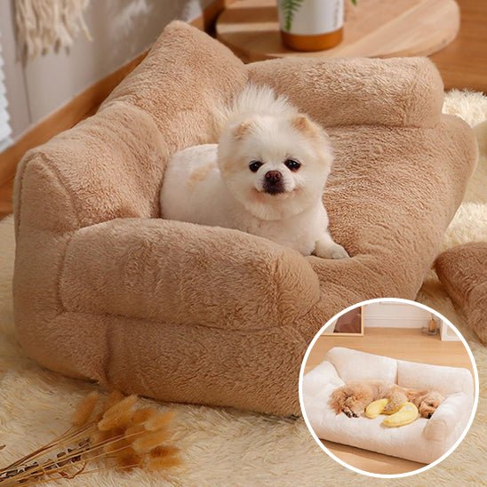 CanapĂ© pour chien - Dogplouffâąïž - Bonheur de chien