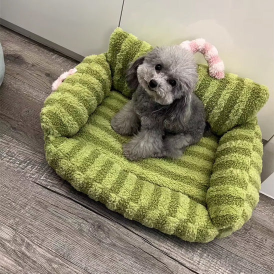 canape pour chien herbe gris