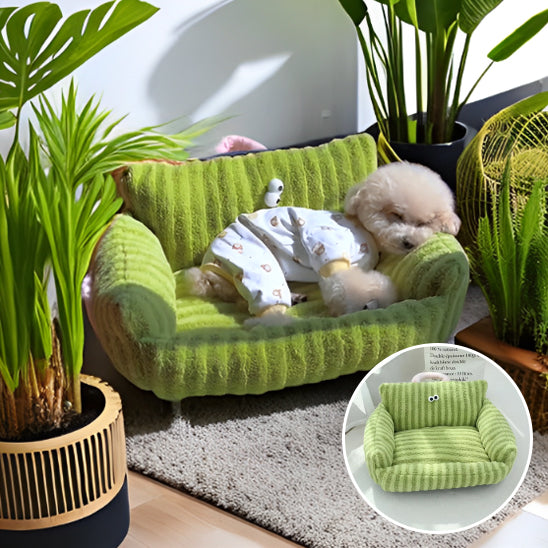 canape pour chien plantes