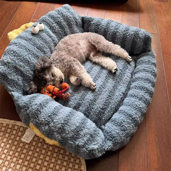 canape pour chien raye bleu jouet