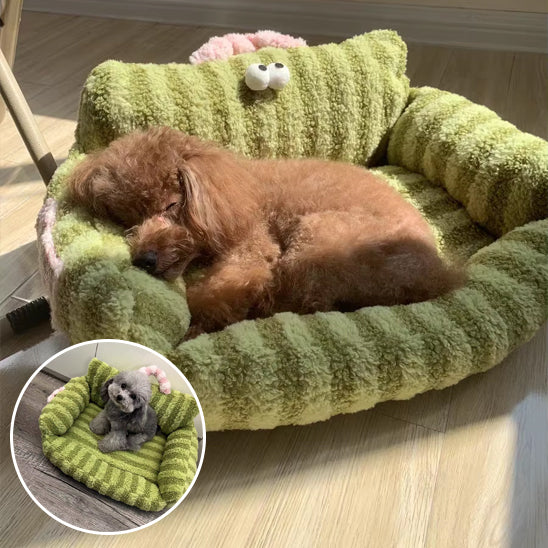 canape pour chien vert chien brun