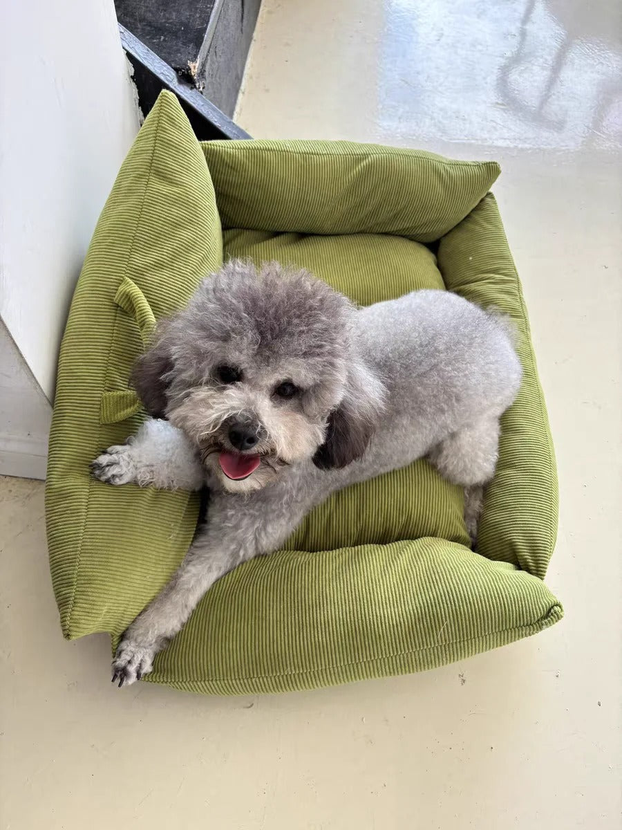 canape pour chien vert chien gris