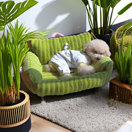 canape-pour chien vert herbe plantes