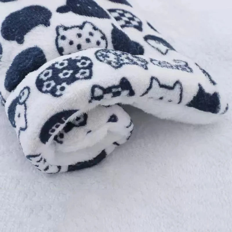 Coussin chien | L'Étoilé™️
