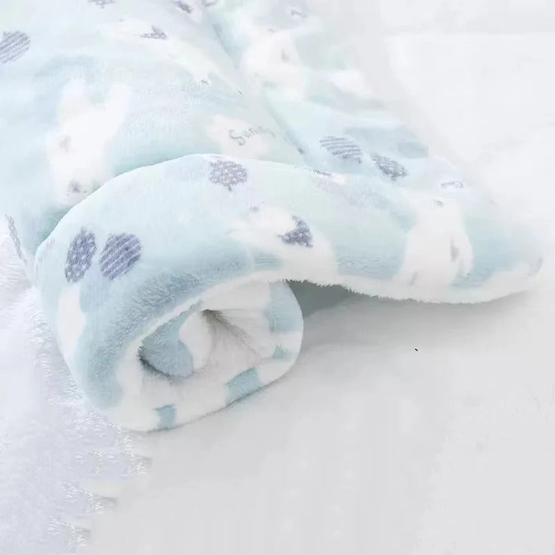 Coussin chien | L'Étoilé™️