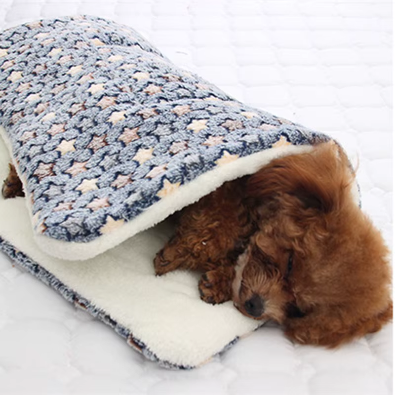 coussin chien canish