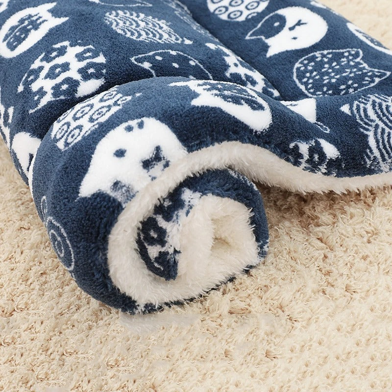 Coussin chien | L'Étoilé™️