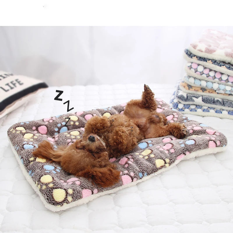 coussin chien dort