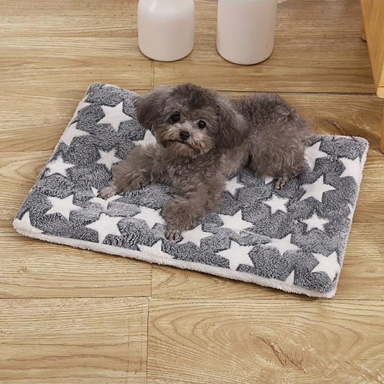Coussin chien | L'Étoilé™️