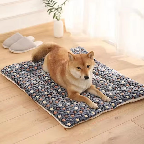 Coussin chien | L'Étoilé™️