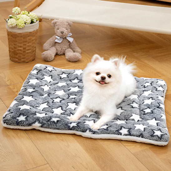 Coussin chien | L'Étoilé™️