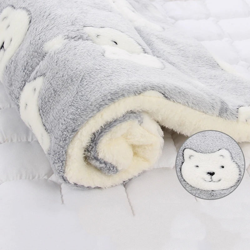 Coussin chien | L'Étoilé™️