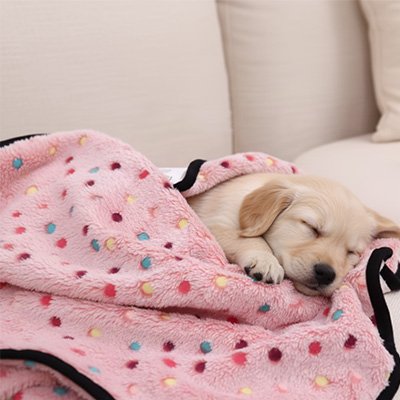 Couverture pour chien dort dans couverture rose
