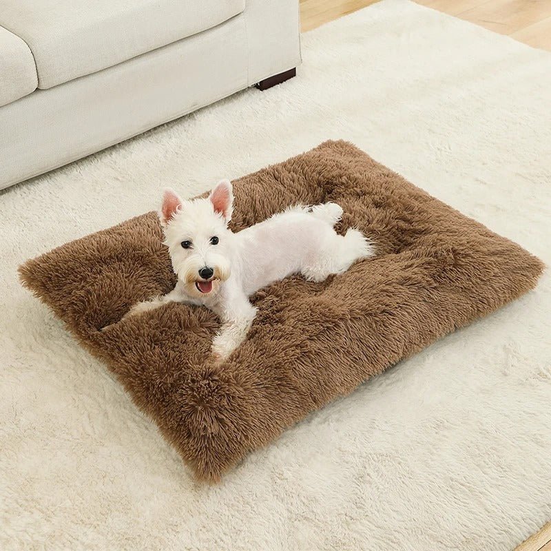 Lit pour chien | DogPeluche™️ - Bonheur de chien