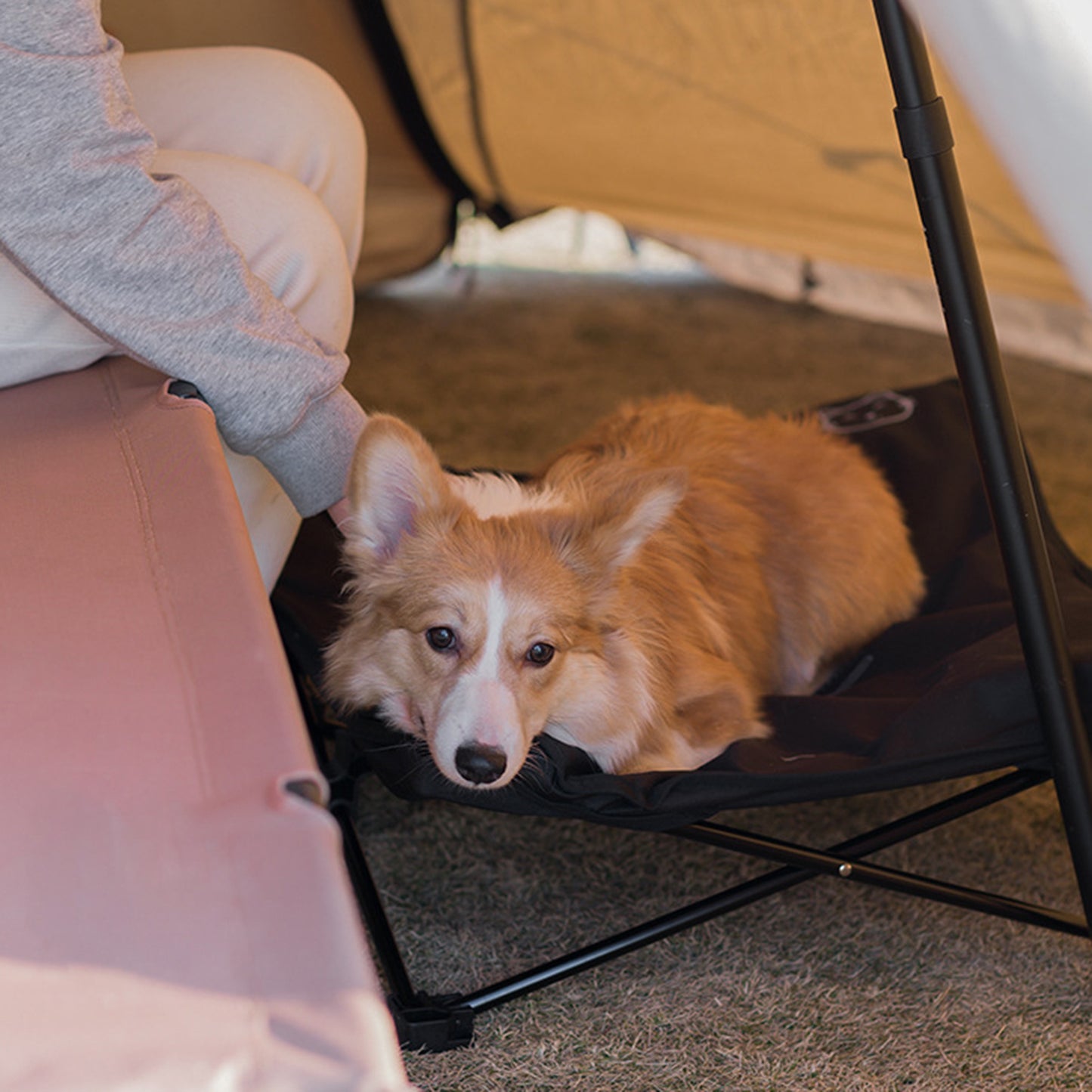 lit-sureleve-pour-chien-camping