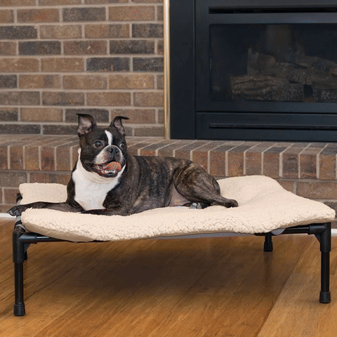 lit-sureleve-pour-chien-teslin