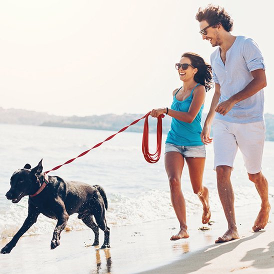 Longe robuste couple qui cours sur plage avec leur chien