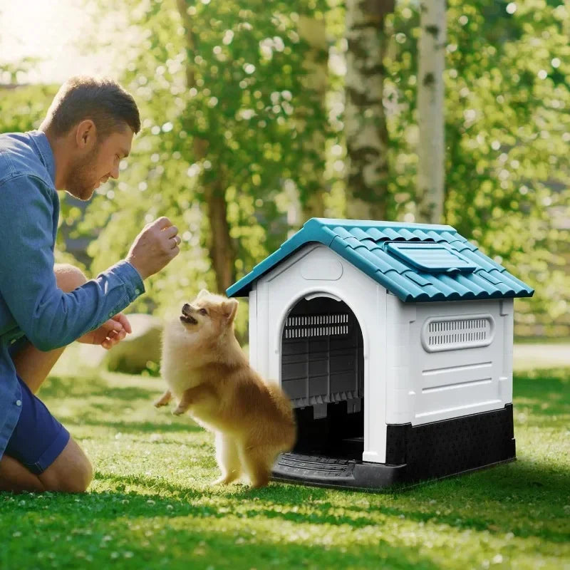 niche chien exterirure pommeranien