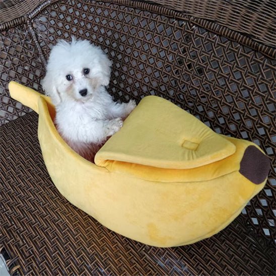 Panier chien | BananeSplits™️ - Bonheur de chien
