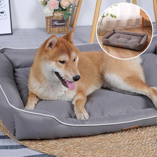 Panier pour chien - DogBedRebord™️ - Bonheur de chien