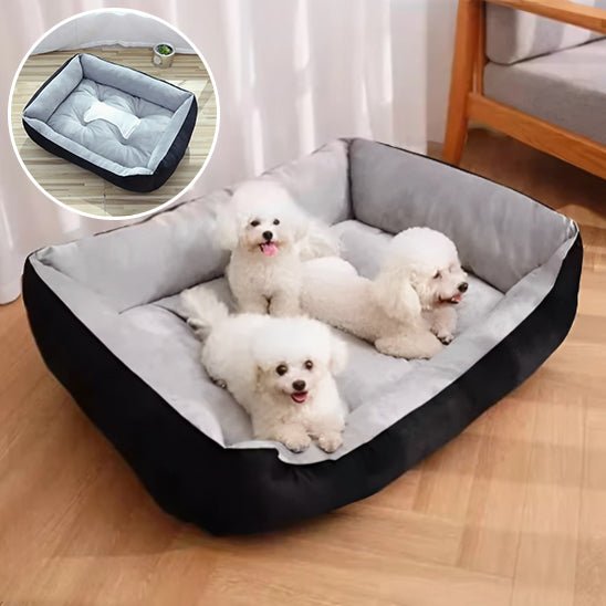 Panier pour chien | DoggyBone™️ - Bonheur de chien