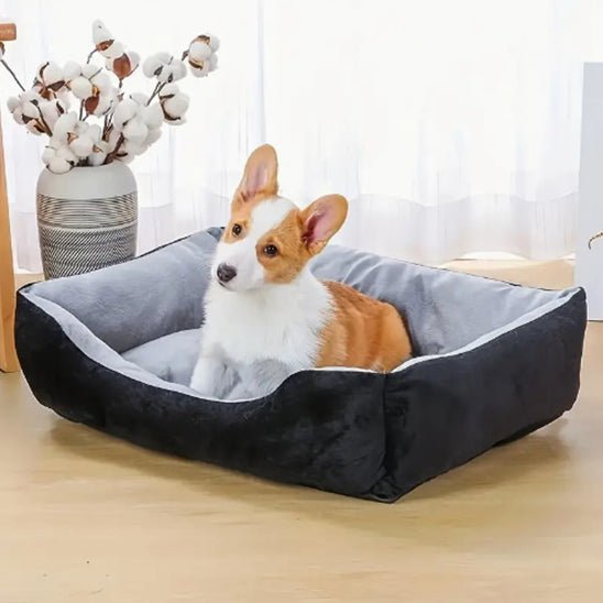 Panier pour chien | DoggyBone™️ - Bonheur de chien