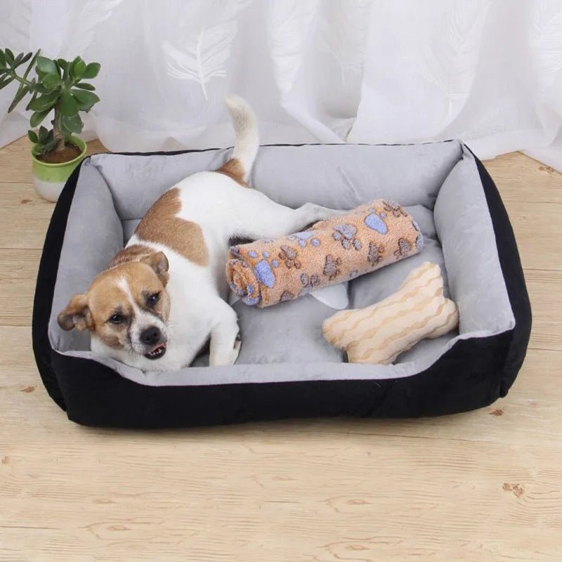 Panier pour chien | DoggyBone™️ - Bonheur de chien