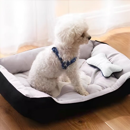 Panier pour chien | DoggyBone™️ - Bonheur de chien
