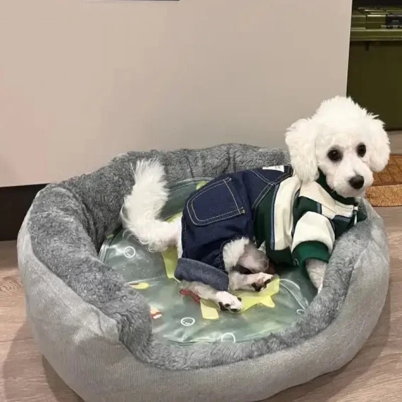 Panier pour chien - DoggyDodo™️ - Bonheur de chien