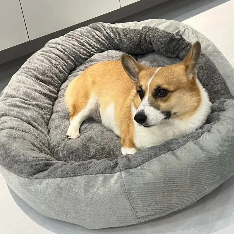 Panier pour chien - DoggyDodoâąïž - Bonheur de chien