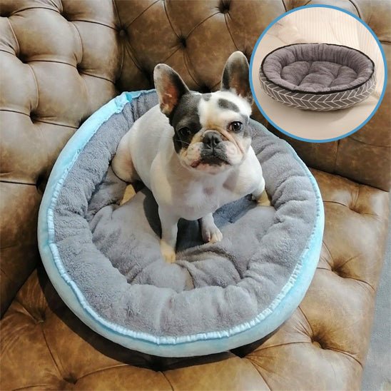 Panier pour chien | DoggyPoisâąïž - Bonheur de chien