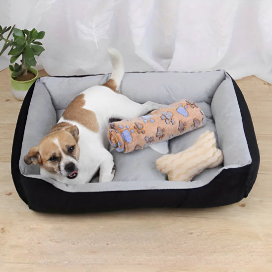 panier pour chien ensemble