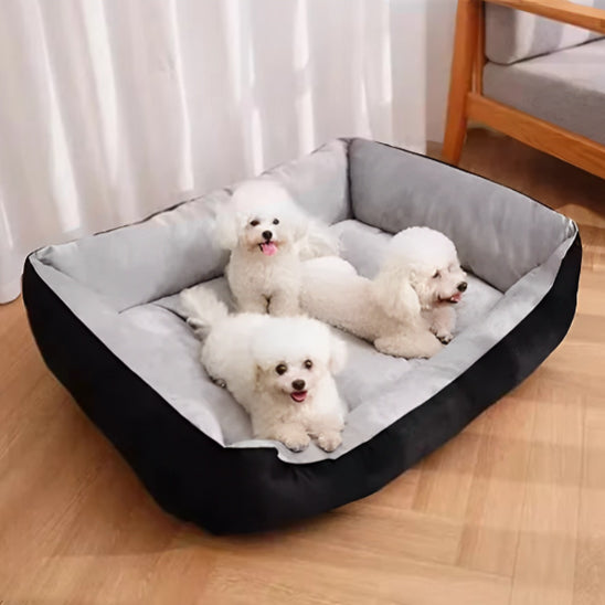 panier pour chien famille