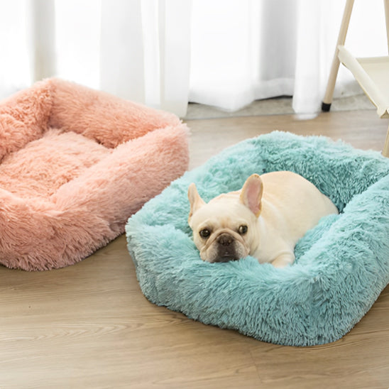 panier pour chien peluche coton bull chiot