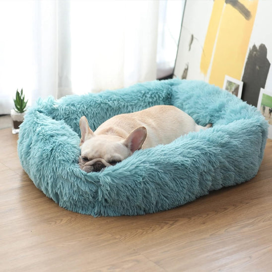 panier pour chien peluche coton turquoise