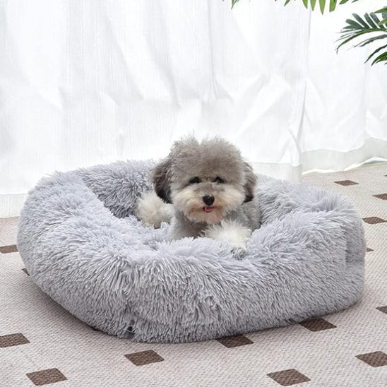 Panier pour chien | PelucheCotonâąïž - Bonheur de chien