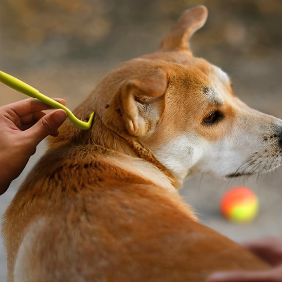 Pince à tique | PetProtect - Bonheur de chien