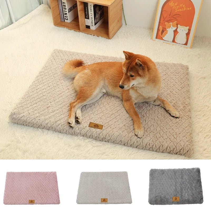 Tapis pour chien | CarpetCase™️ - Bonheur de chien