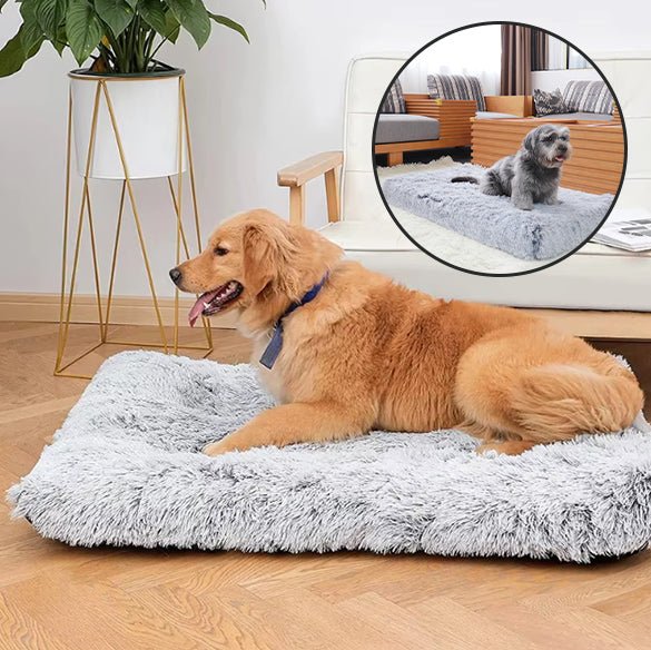 Tapis pour chien - Squaredoggy™️ - Bonheur de chien